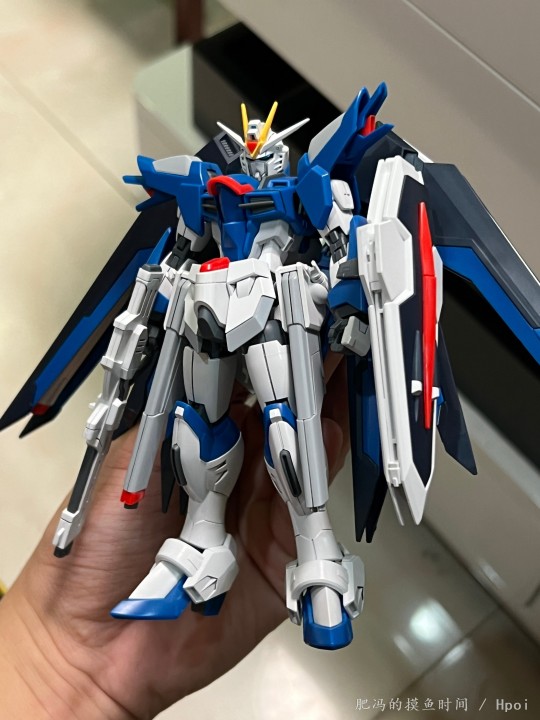 素组HG飞升自由高达P1