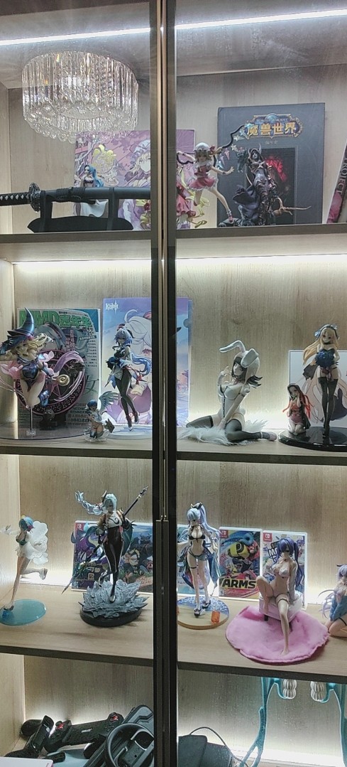 第一次拥有自己的手办柜，发点东西纪念下