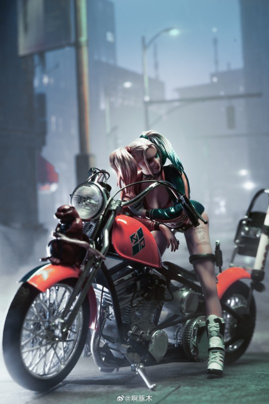 古校长哈莉奎茵&摩托车