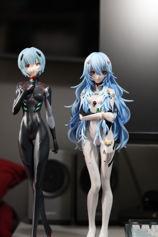 1/4长短发绫波丽会晤