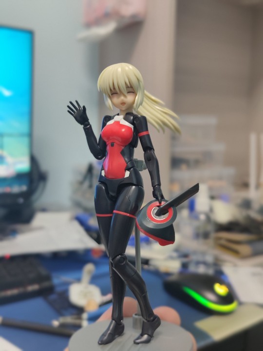 安瓦尔异色版素组