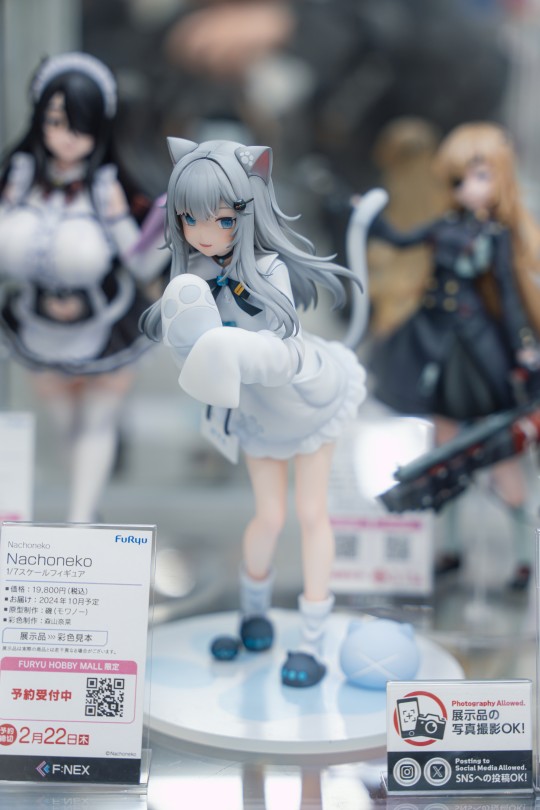 【实拍】甘城猫猫