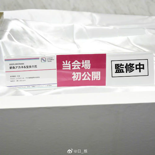 eStream SSSS.GRIDMAN 新条茜 & 宝多六花