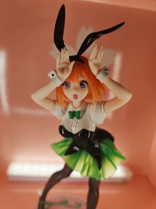 妇幼 中野四叶 兔女郎