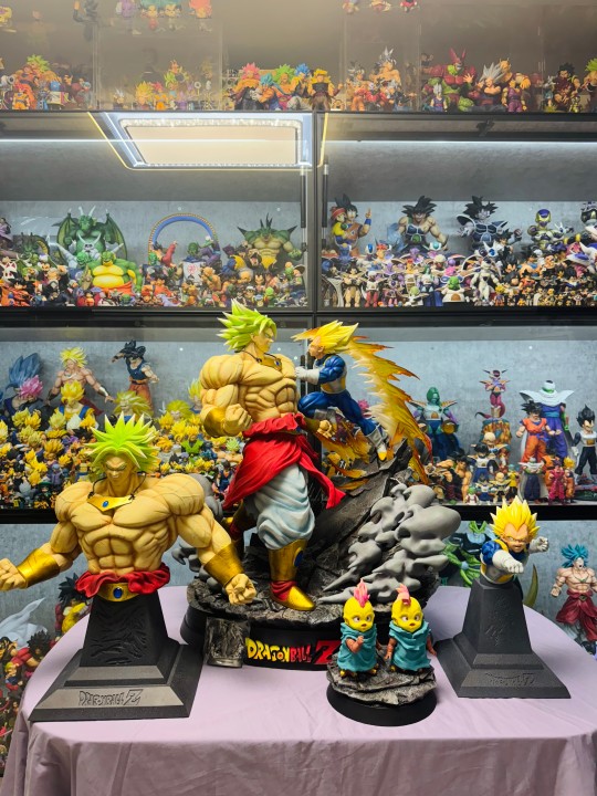 Rs布罗利vs贝吉塔