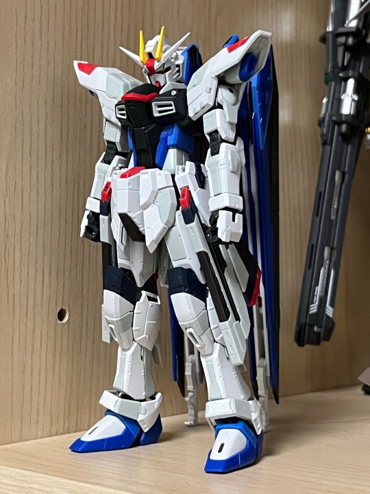 RG自由高达 ver GCP