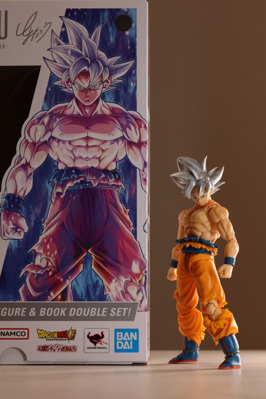 自在极意功随拍