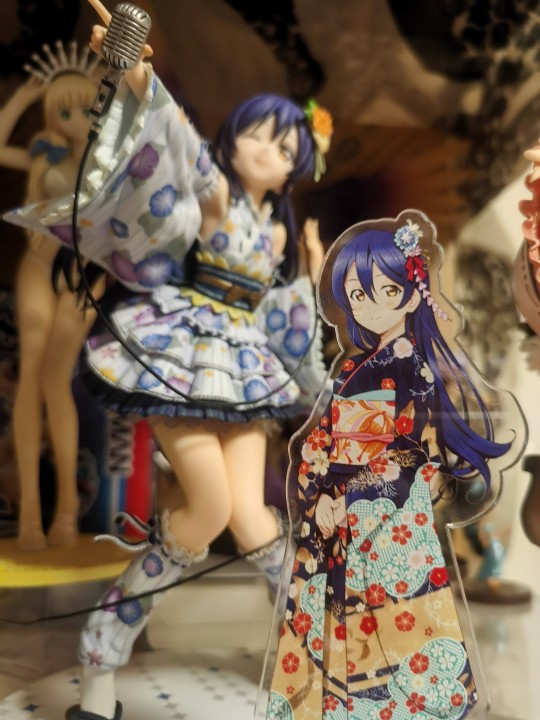 3.15的日子是...？海爷申鹤！