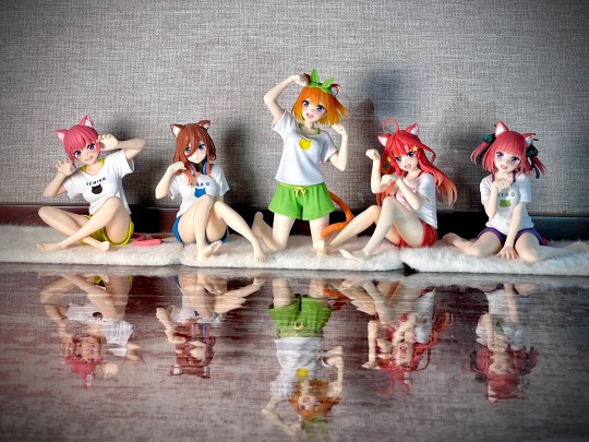 姗姗来迟的四叶