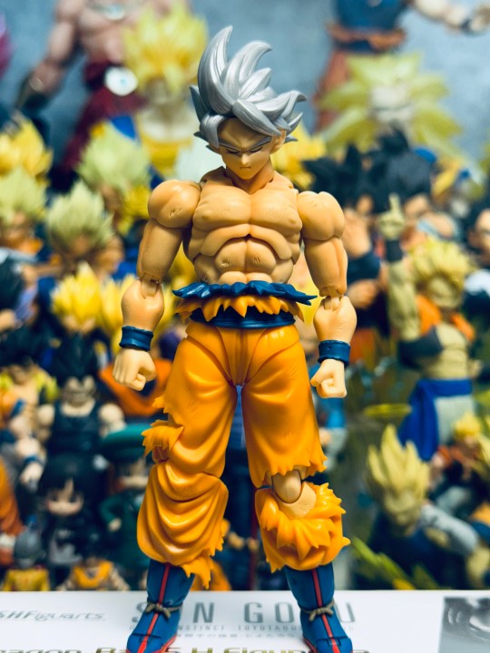 丰太郎 自在极意功