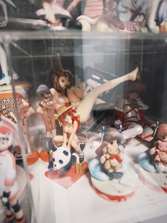 真的好漂亮的一只