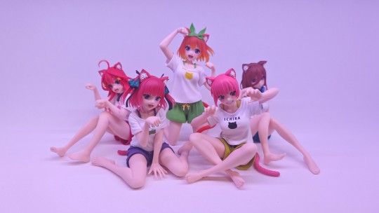 五 等 分 的 猫 耳 裸 足 新 娘