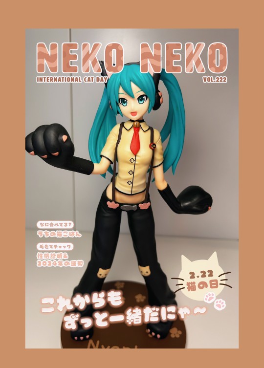 超级可爱的猫猫