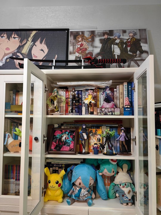 随手拍的家里的一个柜子