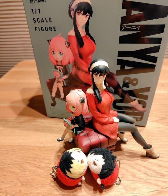 约尔 与 阿尼亚 推特/X 实物