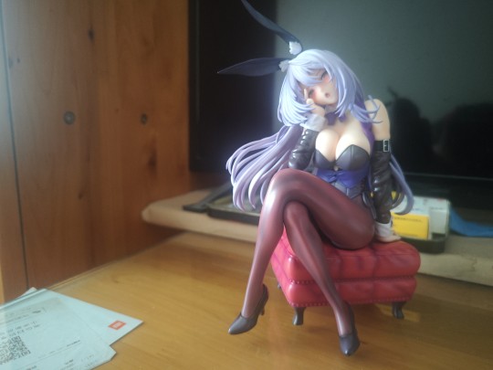 无法拒绝的兔女郎