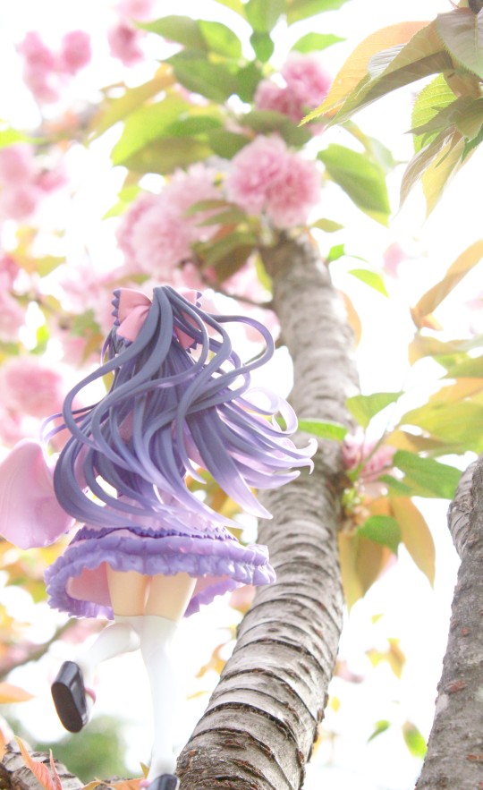 所以约会到底是什么啊（恼）