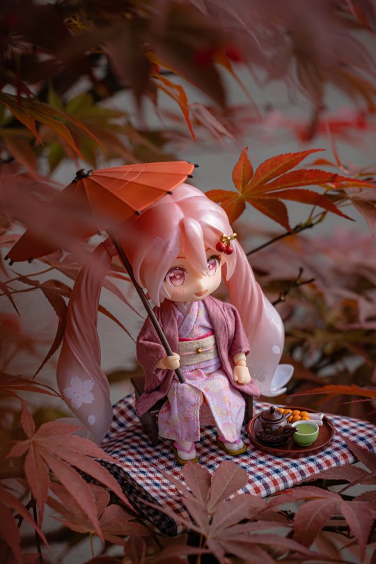 带上樱樱去赏樱（划掉  赏枫！