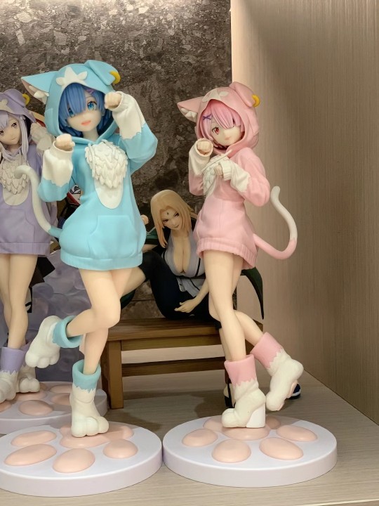 世嘉 成员集结了！