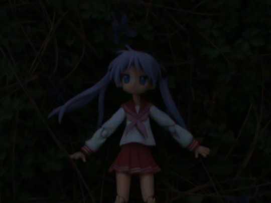 绿丛中一朵紫色的花儿