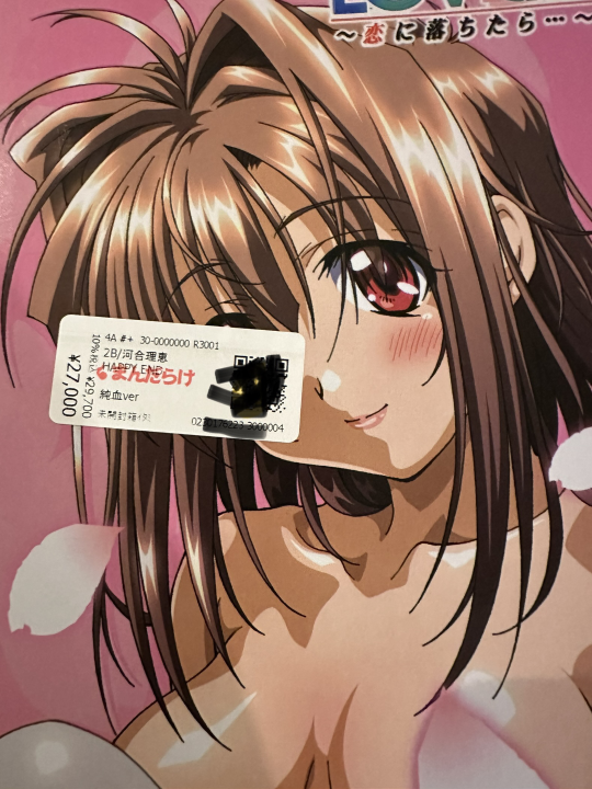 河合理惠（HAPPY END）入手