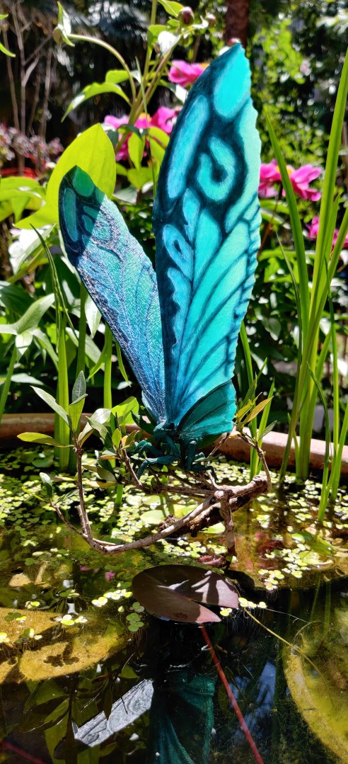 海雅蓝透摩斯拉