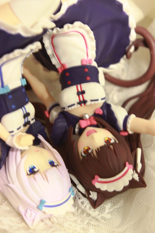 喵ヾ（*⌒㉨⌒*）ゞ