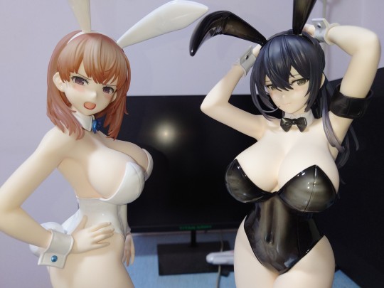 夏芽＆葵到货开箱