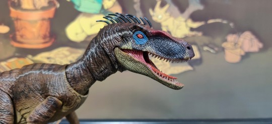 本心楠改迅猛龙