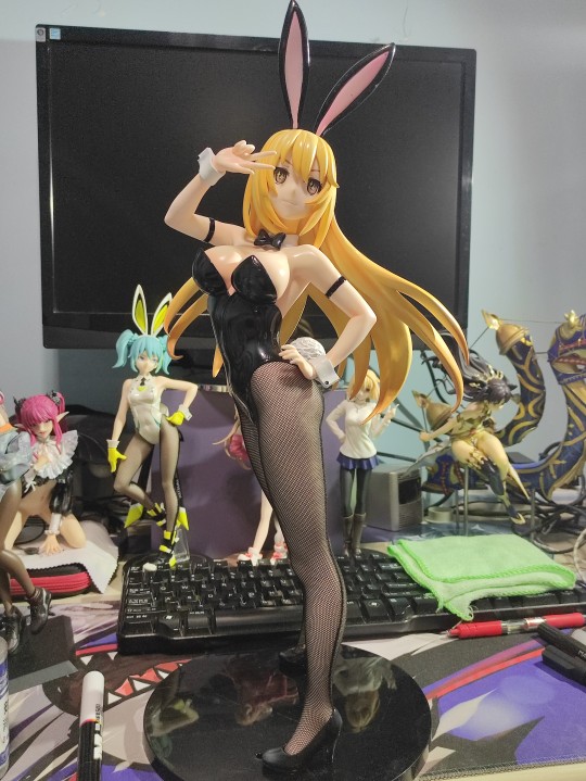 食蜂操祈兔女郎