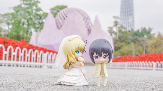 祝贺星奈和夜空结婚成功