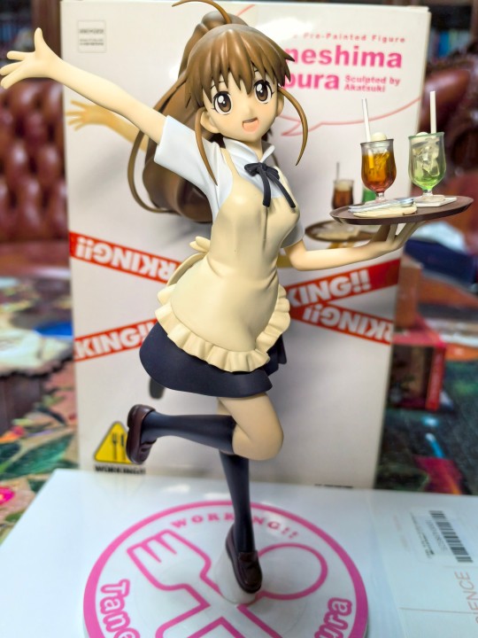 我永远喜欢种岛学姐！