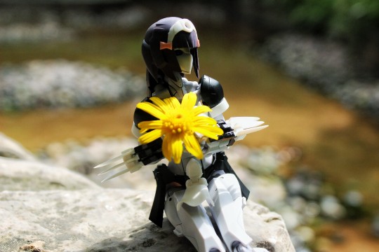 无限邂逅 初学者 外拍