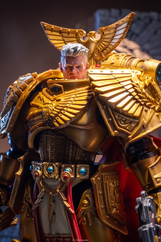 金灿灿-暗源战锤 多恩