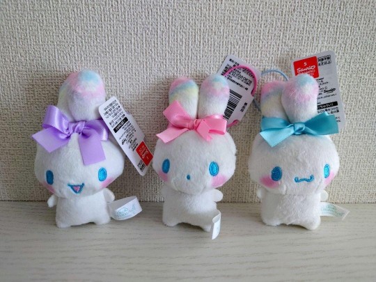 转载蝴蝶结玉桂狗实物图