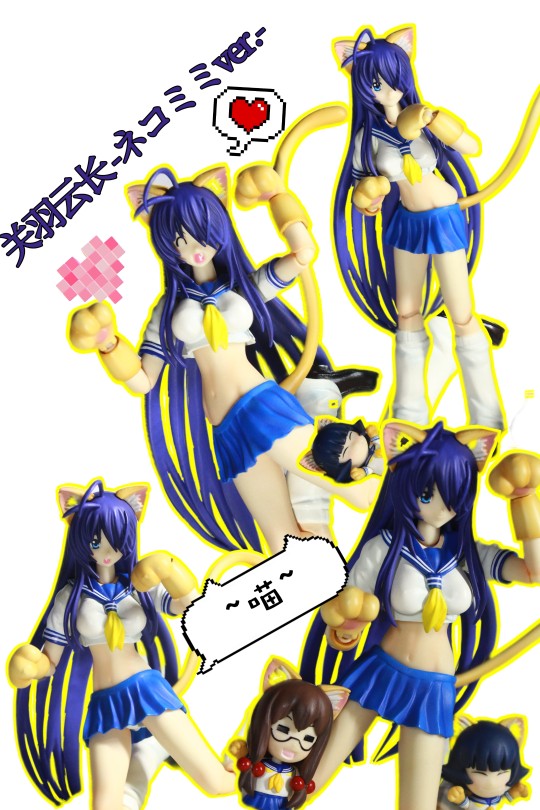 喵✧*｡٩(^㉨^*)و✧*｡