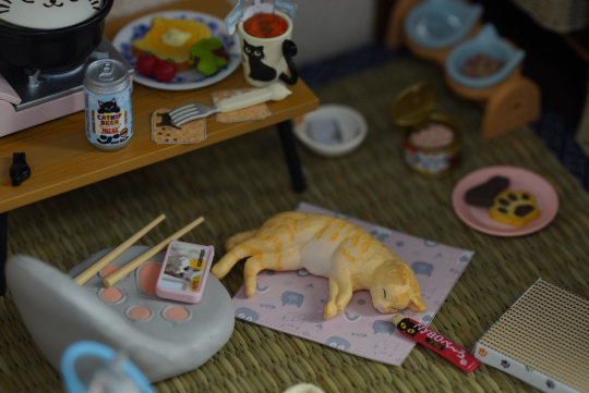 小小样品 猫田的日常拆箱记录