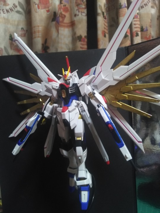 超强超帅的HG非凡强袭自由