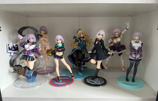 目前想要的新条茜都收了