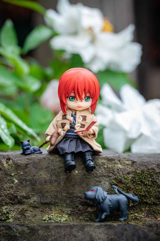 【胶游记】有智世在的汉中之行