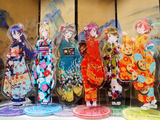 小追一只南大鸟