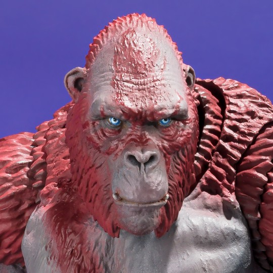 S.H.MonsterArts 刀疤王+金刚配件高清官图