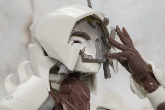 日站评测（プレナム速報）