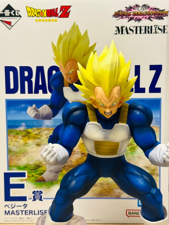 速趴贝吉塔！！