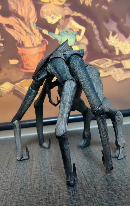 海雅雌穆托实物图