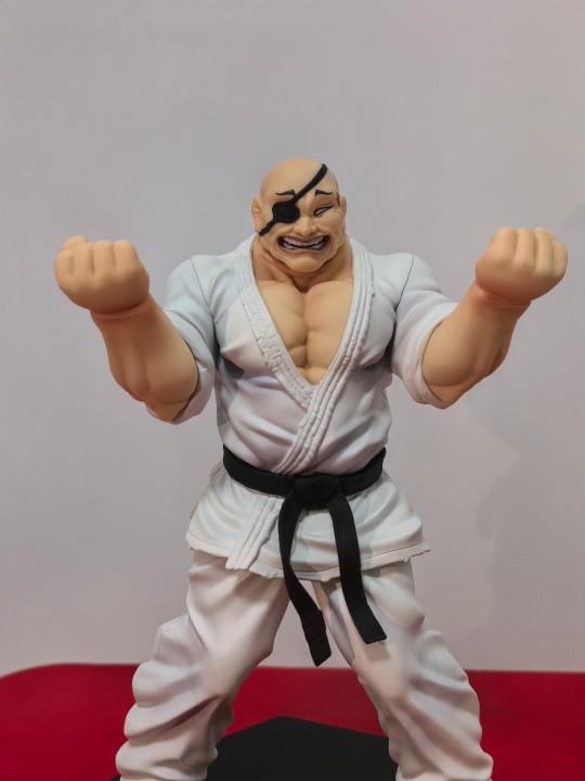 与其说是武……不如说是…