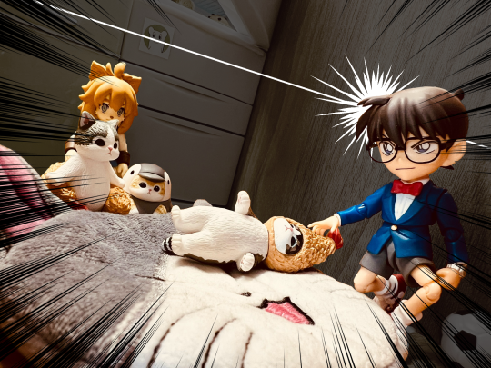 厨房专柜正在上演 - 《猫猫狗狗杀人事件》