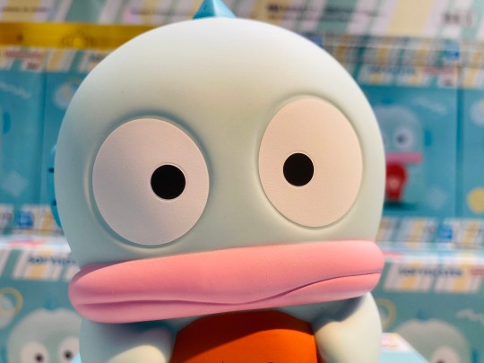 眼镜厂 SOFVIMATES 三丽鸥家族 半鱼人 大货实拍返图搬运