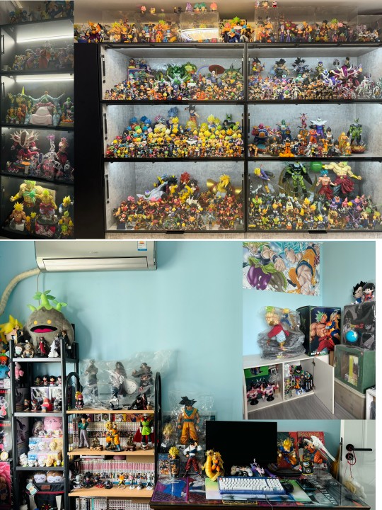 半年过去了！现阶段收藏