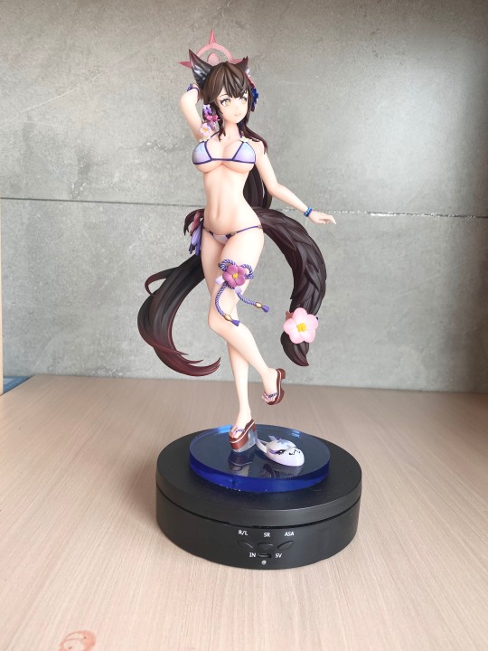 蔚蓝档案-大狐狸水着gk